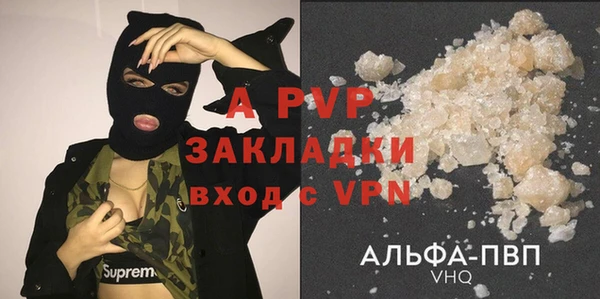 гашик Михайловск