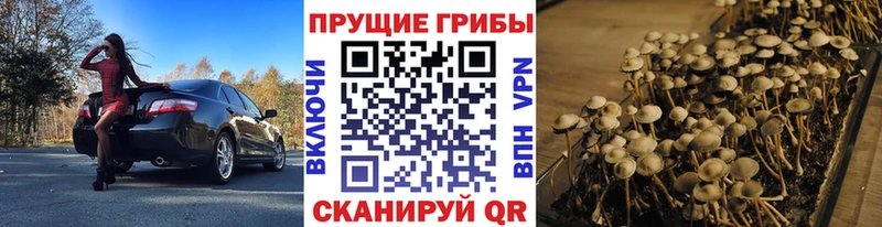 Псилоцибиновые грибы мухоморы  где найти   Городище 